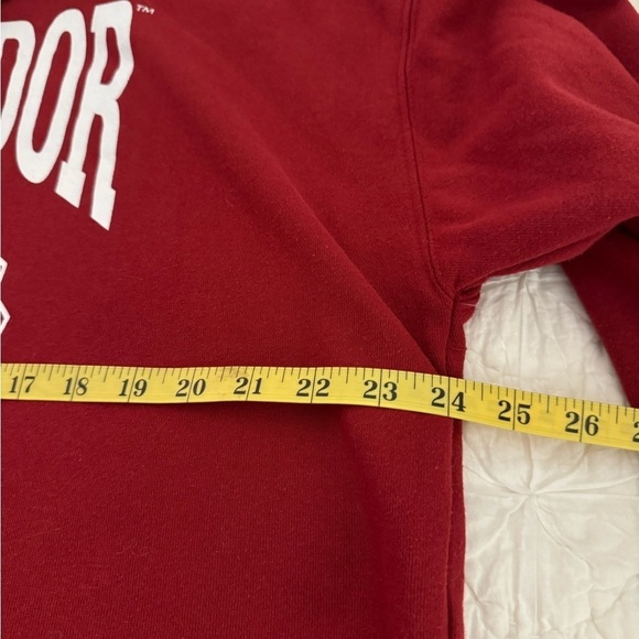 Wizarding World Harry Potter Gryffindor crewneck sweatshirt. Size XL - Picture 8 of 9